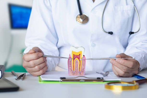 Best Emergency Treatment for Dental Infections or Abscesses in Kapn, LA